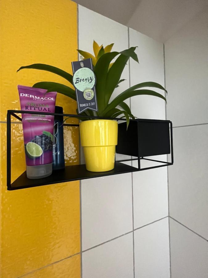 Monstera I Apartment Kolin Bagian luar foto